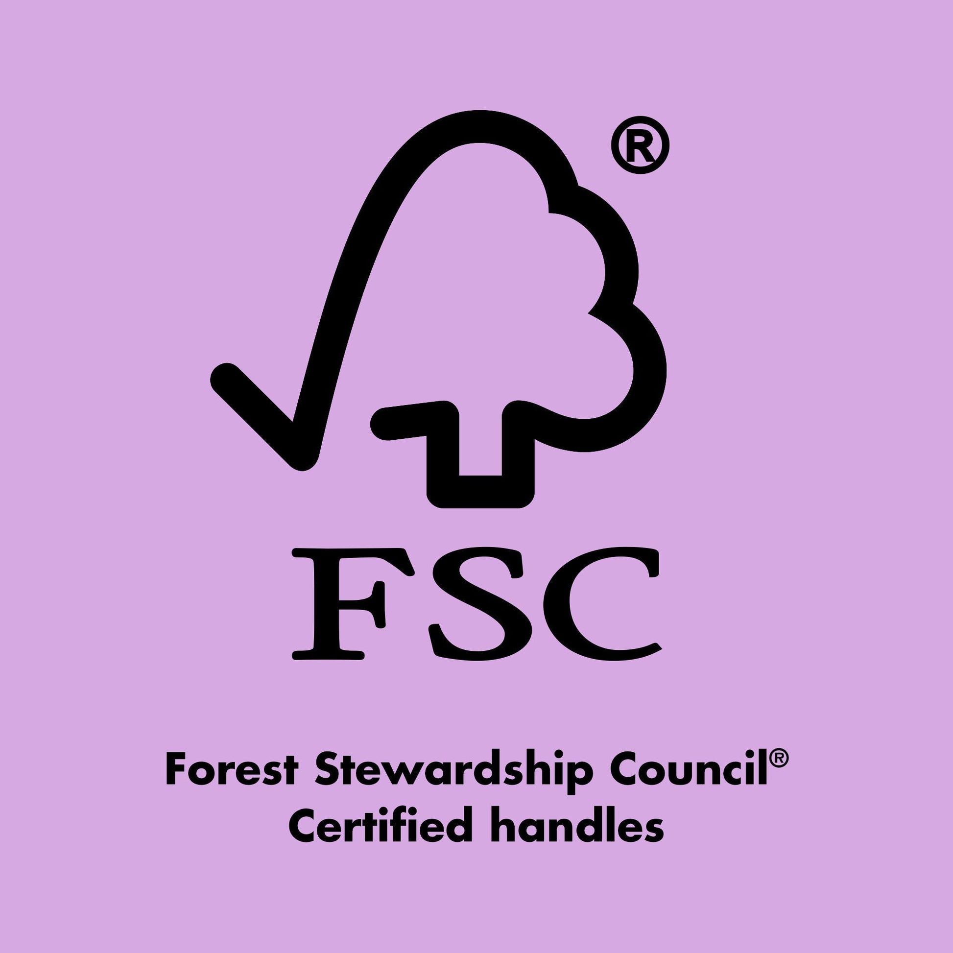 ten-out-of-ten-brush-kit-y9 0423_EDUCATION_FSC_EVERGREEN.jpg