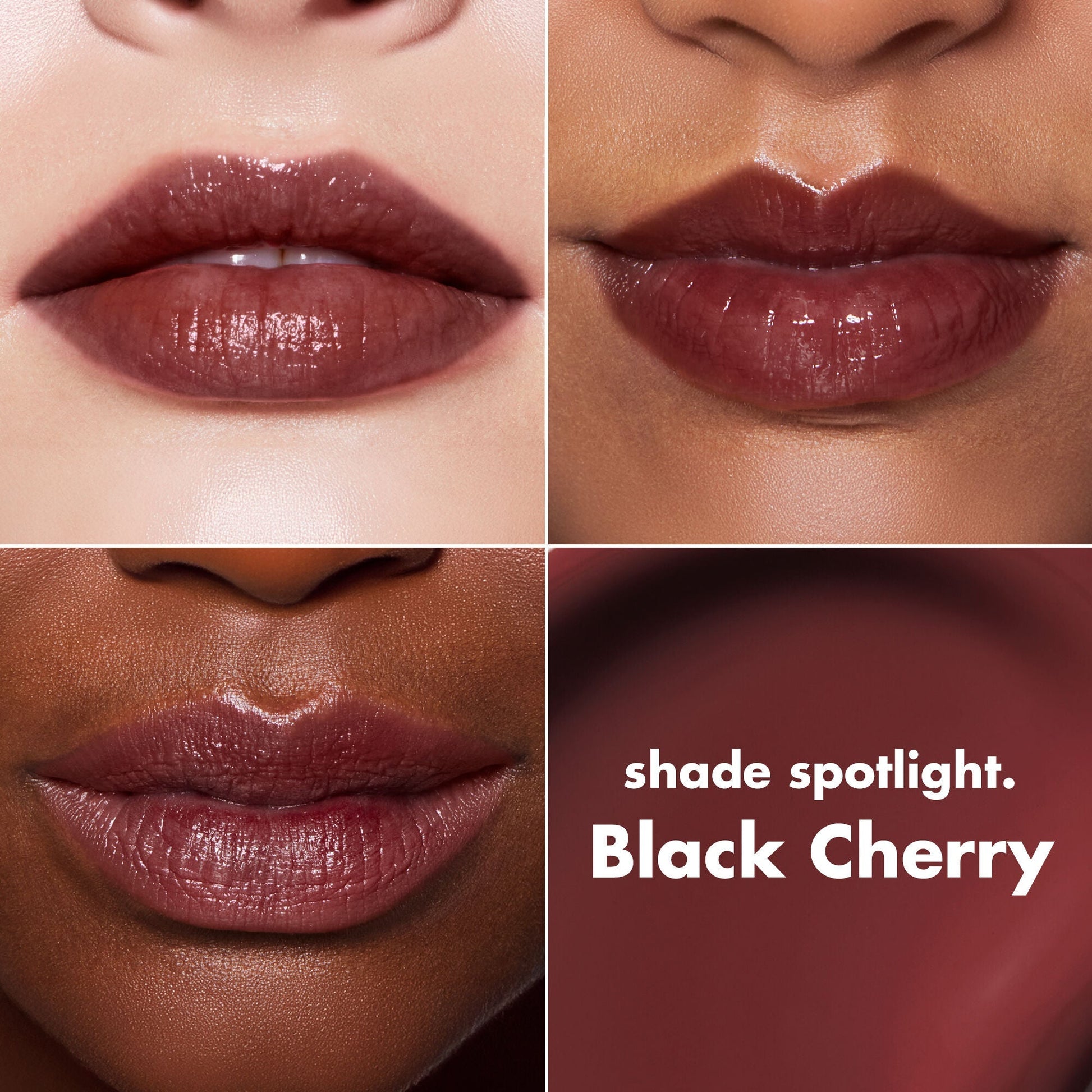 lip-lacquer-i2 0426_EDU_LipLaquer_ShadeChart_BlackCherry.jpg