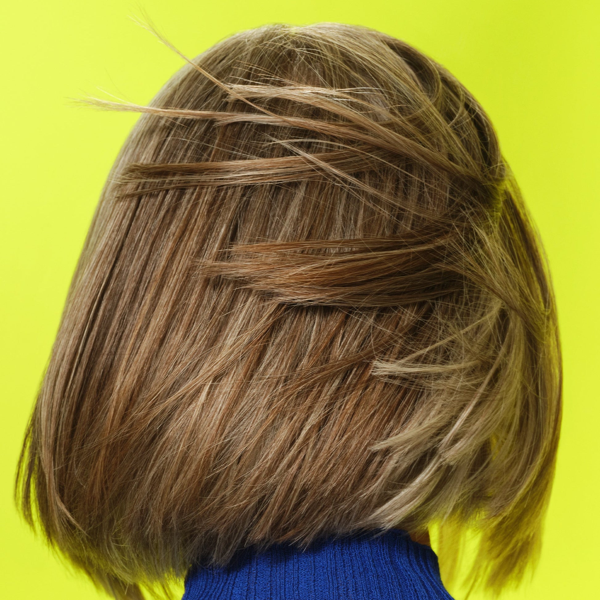 frizz-to-rizz-trio-a0 111725_Vicky_HumidityAntifrizz-Editorial_0538_w2QC_IGF_1x1_05a09617-4ccf-44a2-8545-199321a503e1.jpg